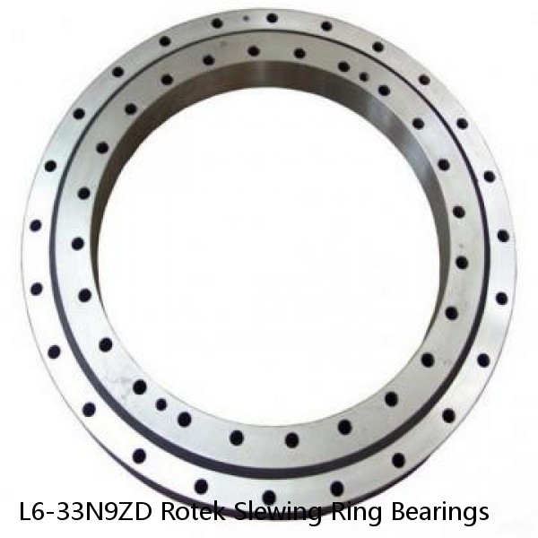 L6-33N9ZD Rotek Slewing Ring Bearings
