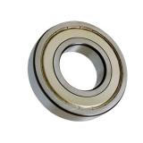 Carbon Bearing Stainless Steel Factory Custom Double Row 7204 Angular Contact Ball Bearing
