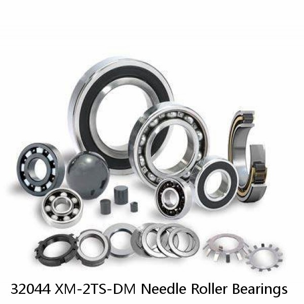 32044 XM-2TS-DM Needle Roller Bearings