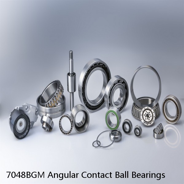 7048BGM Angular Contact Ball Bearings