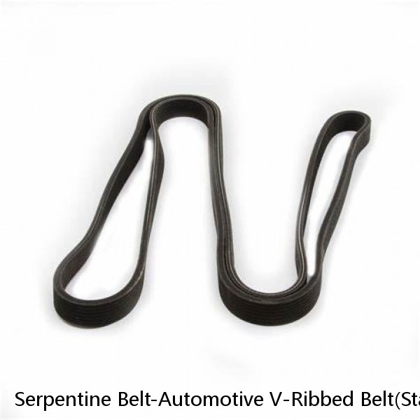 Serpentine Belt-Automotive V-Ribbed Belt(Standard) Roadmax 6K966AP (Fits: Audi)