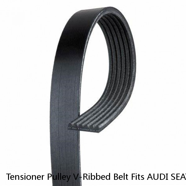 Tensioner Pulley V-Ribbed Belt Fits AUDI SEAT SKODA Superb VW Passat B6 B7 2004- (Fits: Audi)