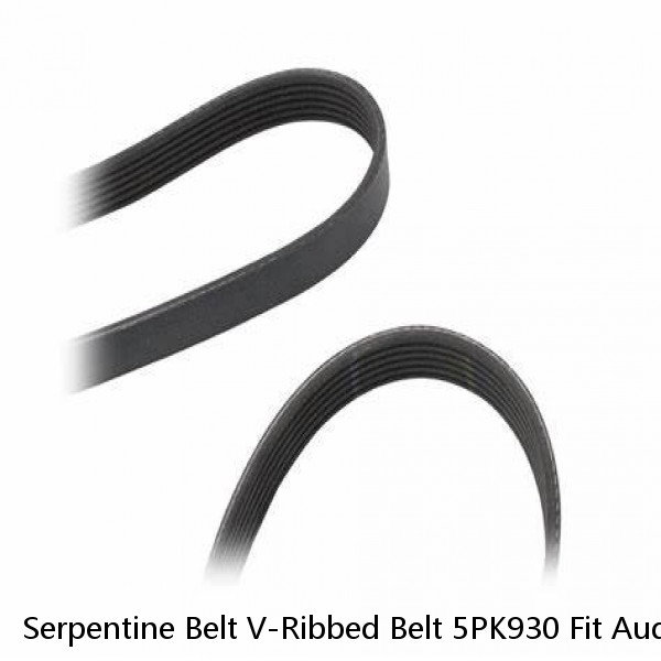 Serpentine Belt V-Ribbed Belt 5PK930 Fit Audi TT Quattro Honda Accord Colt EPDM  (Fits: Audi)