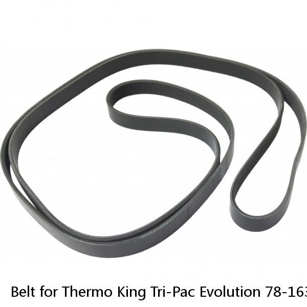 Belt for Thermo King Tri-Pac Evolution 78-1634 Serpentine Belt 6 Rib Tripac APU 